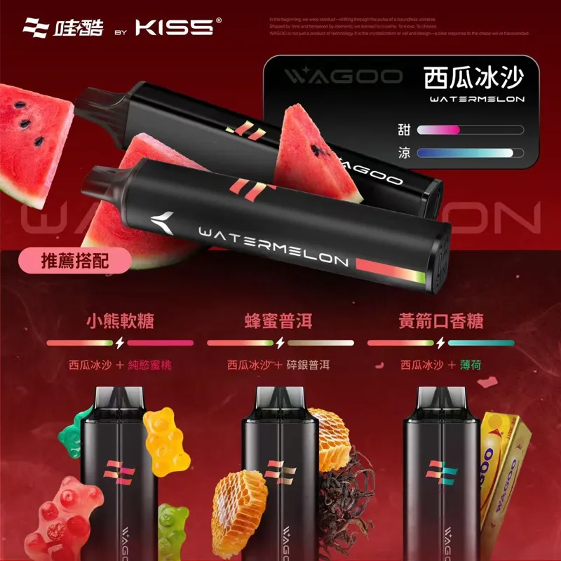 WAGOO哇酷6500口便攜電子煙|承襲KIS5血統的創新口糧機 WAGOO哇酷