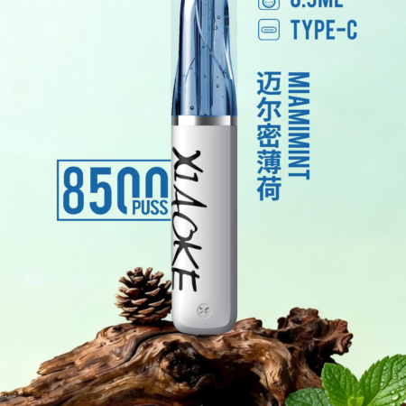 xiaoke 梟客 口紅款 8500口 拋棄式電子煙|高顏值設計・大容量續航・台灣現貨 xiaoke 梟客 口紅款 8500口 拋棄式電子煙|高顏值設計・大容量續航・台灣現貨