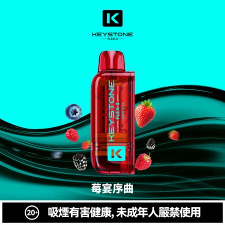 KEYSTONE FLEX-3 鑰石 25000口 專彈專機套裝|大容量續航・台灣現貨 KEYSTONE FLEX-3 鑰石 25000口 專彈專機套裝|大容量續航・台灣現貨