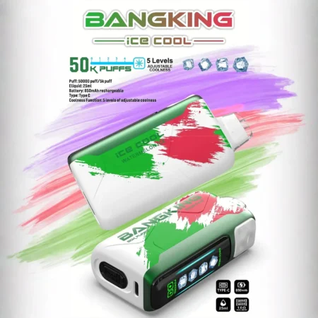 Bang King 60000 拋棄式電子煙｜LED 螢幕顯示 × 五檔冰度調節｜超長續航大容量・多款口味